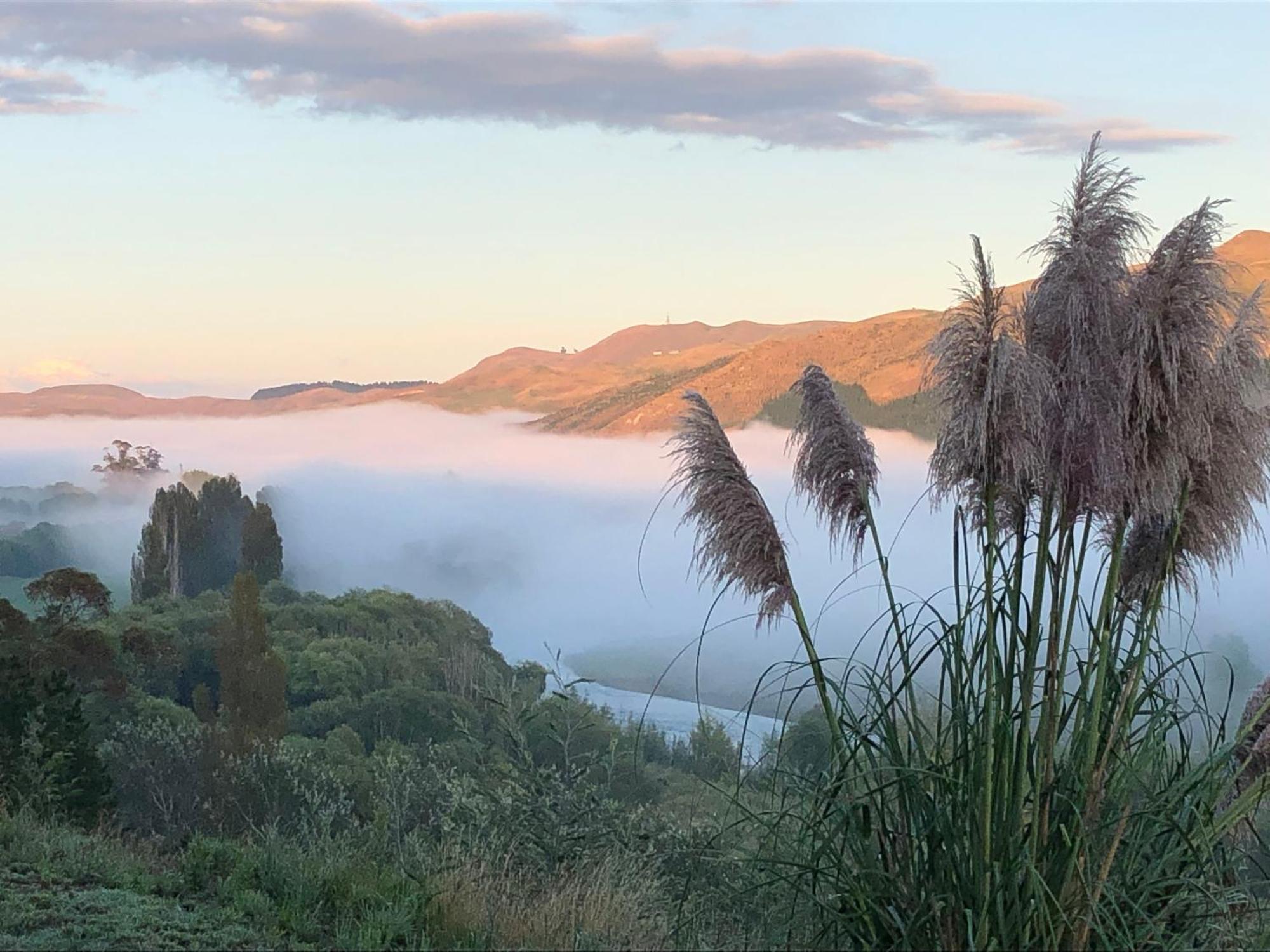 Kahuranaki River View Cottage מראה חיצוני תמונה